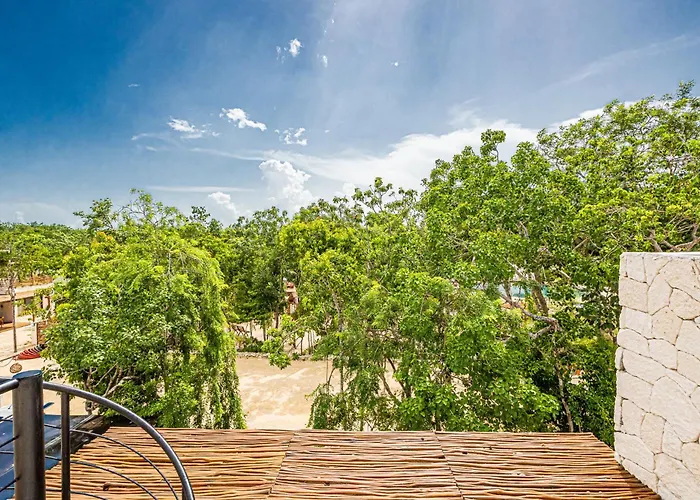 Jungle - Jaguar * Tulum